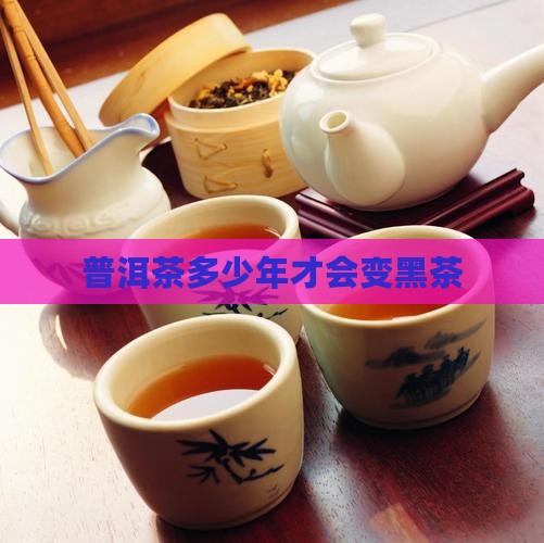 普洱茶多少年才会变黑茶