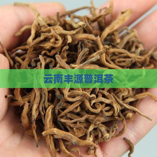 云南丰源普洱茶