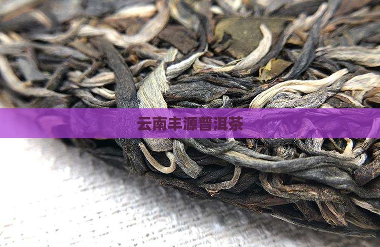 云南丰源普洱茶