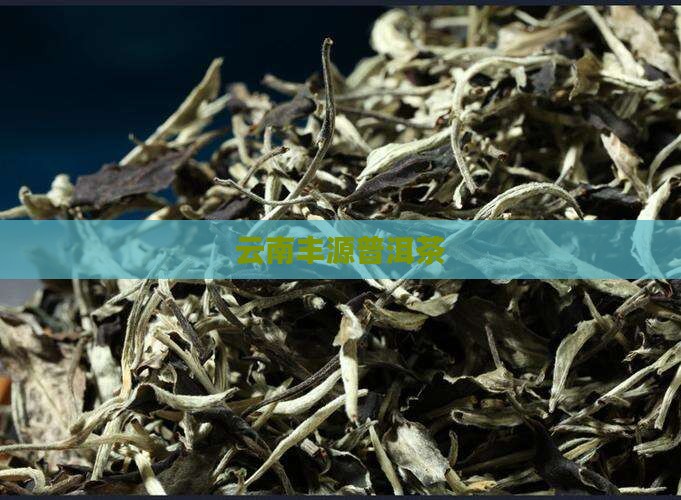 云南丰源普洱茶