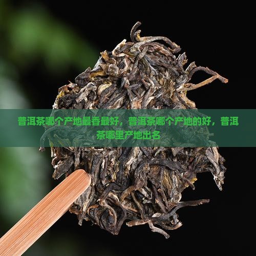 普洱茶哪个产地最香