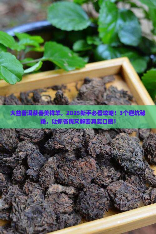 大益普洱茶善美祥羊