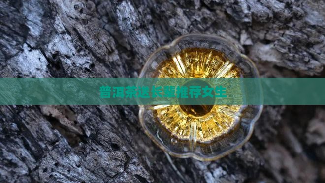 普洱茶送长辈推荐女生
