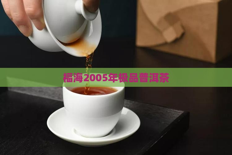 福海2005年极品普洱茶