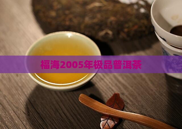 福海2005年极品普洱茶
