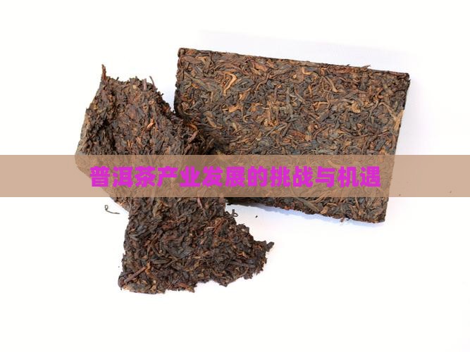 普洱茶产业发展问题