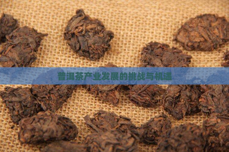 普洱茶产业发展问题