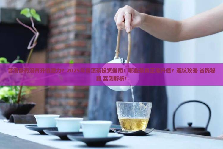 普洱茶有没有升值潜力