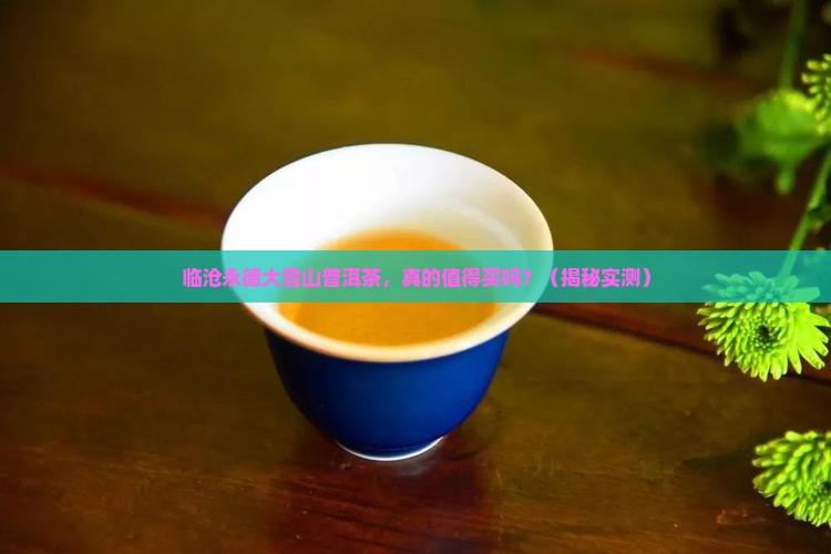 临沧永德大雪山普洱茶
