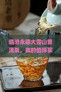 临沧永德大雪山普洱茶