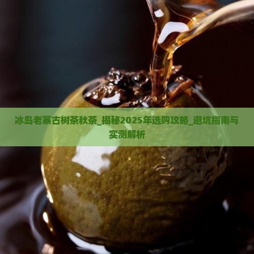 冰岛老寨古树茶秋茶