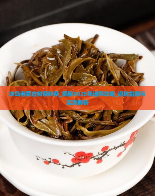 冰岛老寨古树茶秋茶