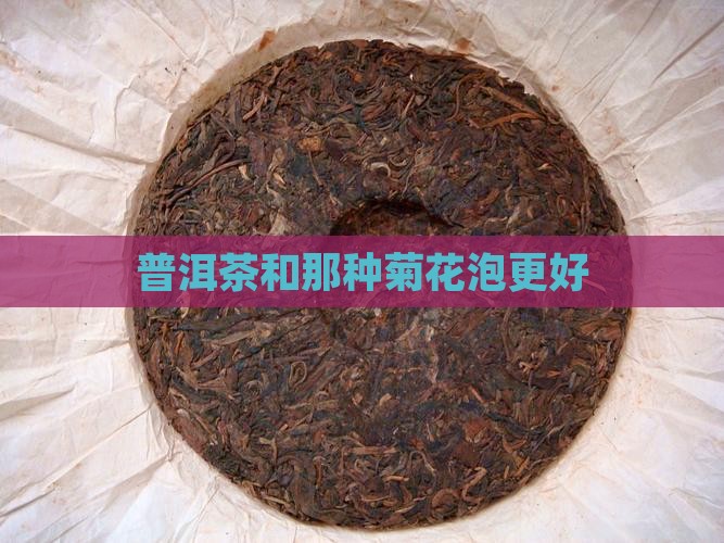普洱茶和那种菊花泡更好