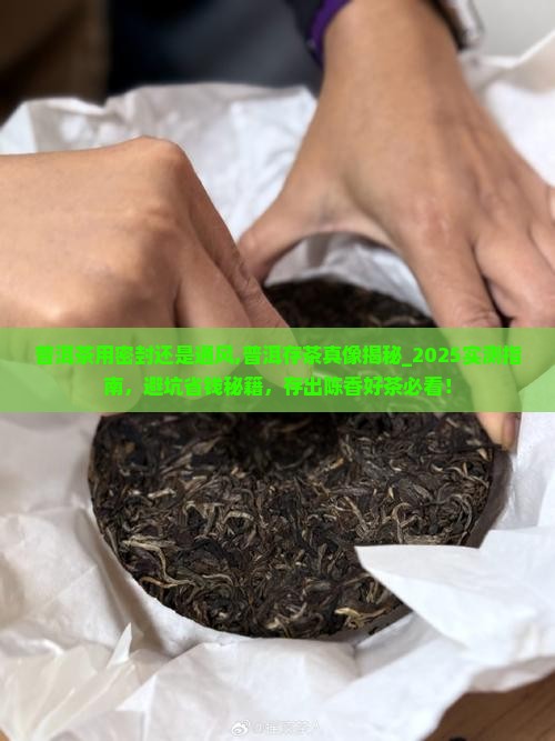 普洱茶用密封还是通风