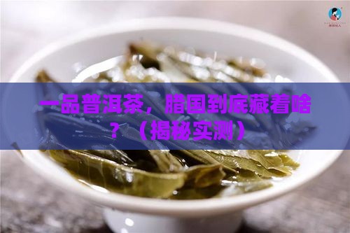 一品普洱茶腊国