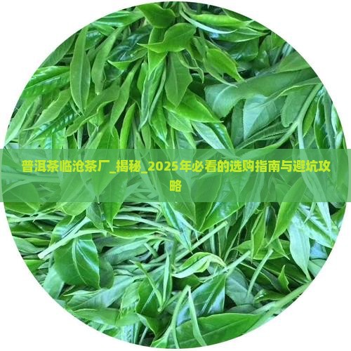 普洱茶临沧茶厂