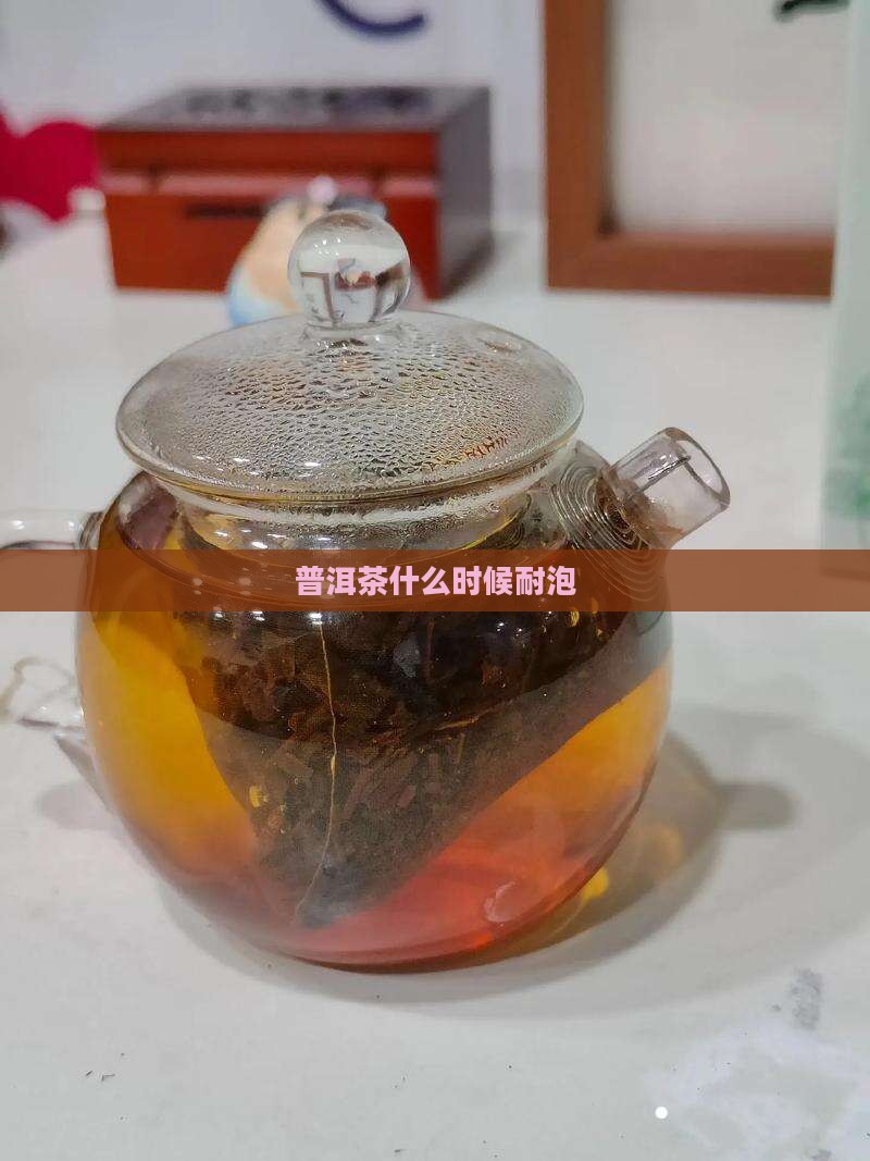 普洱茶什么时候耐泡