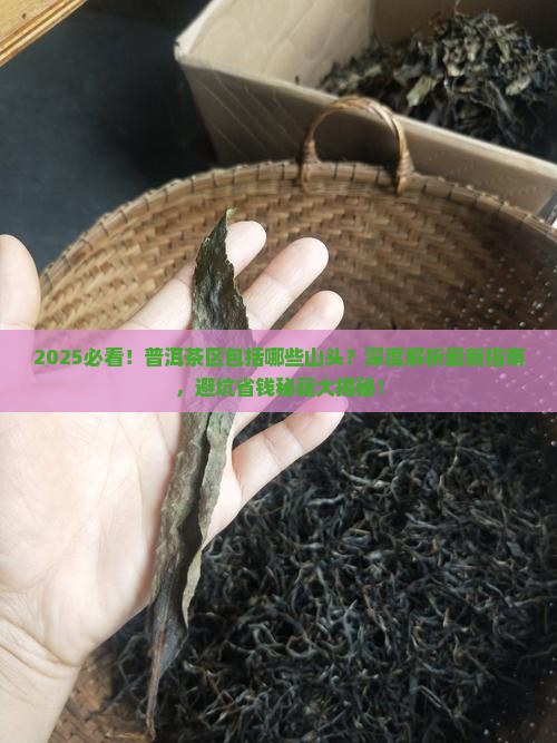 普洱茶区包括哪些山头