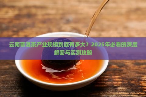 云南普洱茶产业规模