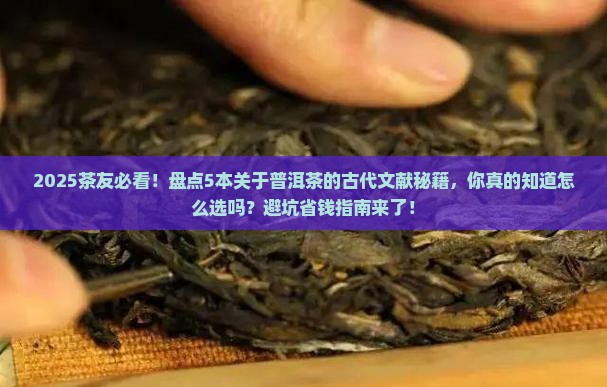 关于普洱茶的古代文献有