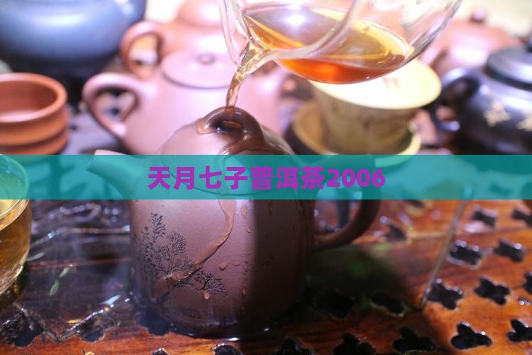 天月七子普洱茶2006