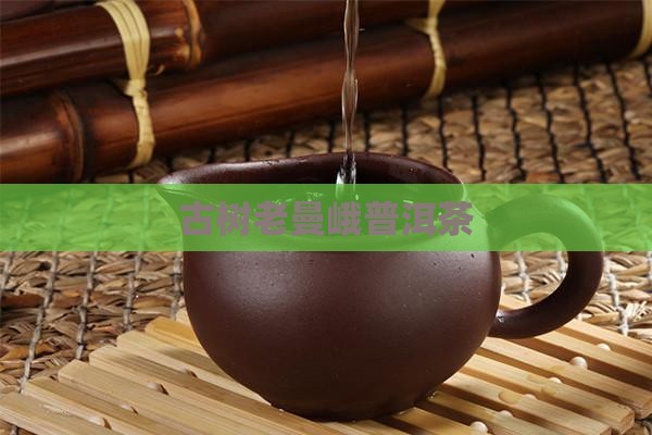 古树老曼峨普洱茶