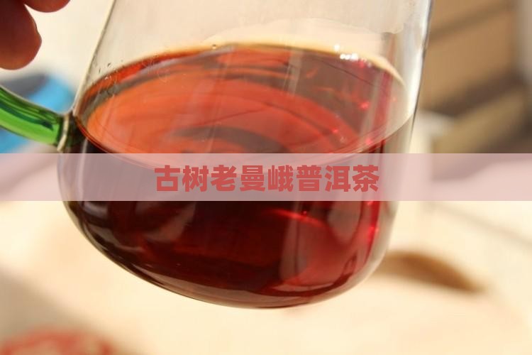 古树老曼峨普洱茶