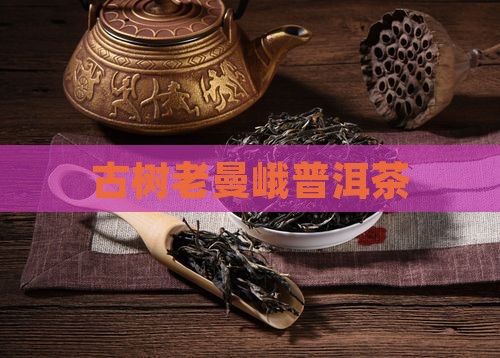 古树老曼峨普洱茶