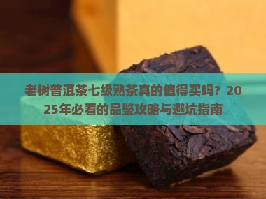 老树普洱茶七级熟茶好吗