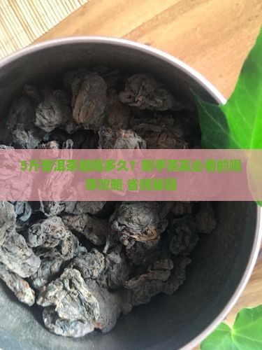 五六斤的普洱茶能喝多久