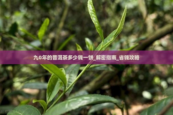九0年的普洱茶多少钱一饼