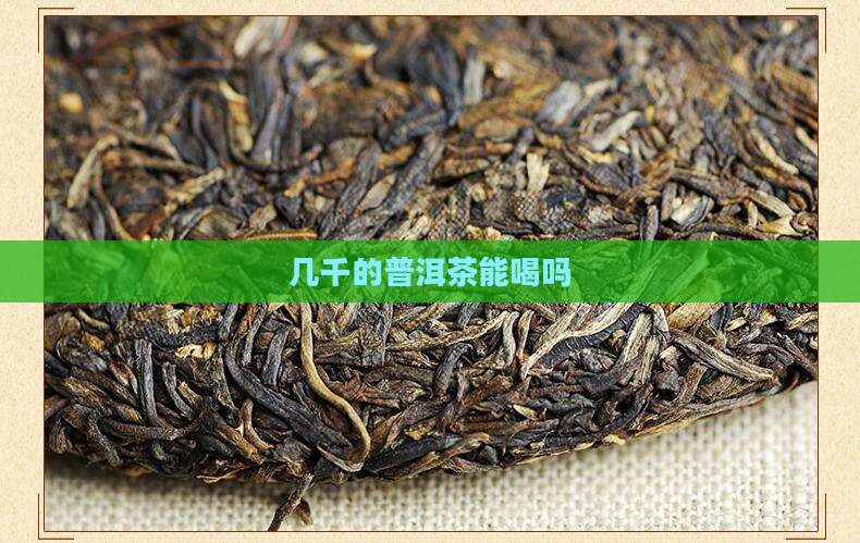 几千的普洱茶能喝吗