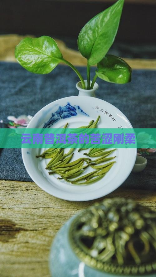 云南普洱茶的苦涩刚柔