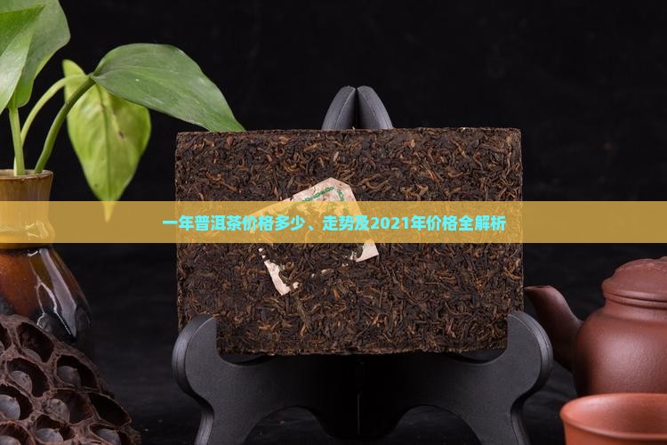 一年普洱茶价格