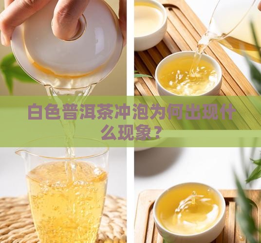 老茶头冲泡有点白色