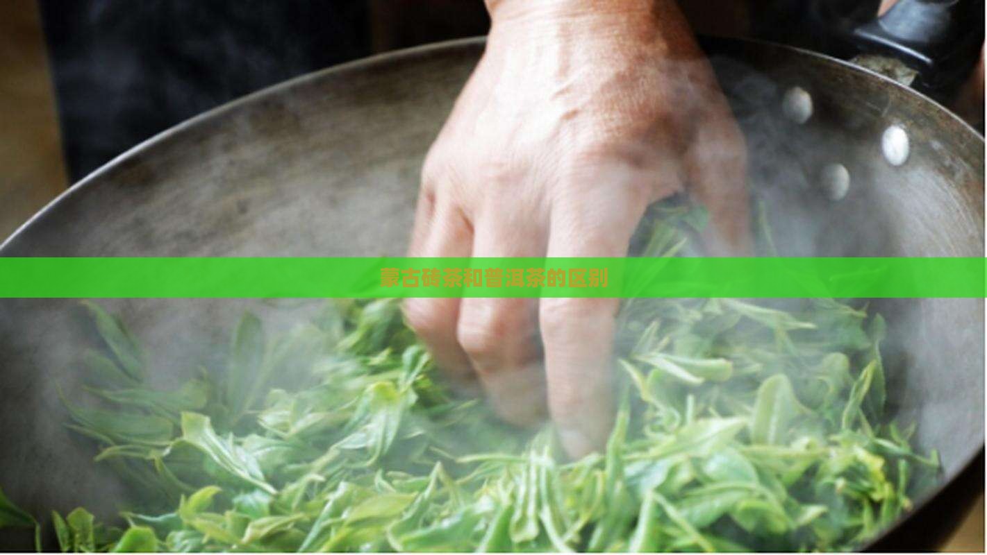 蒙古砖茶和普洱茶的区别