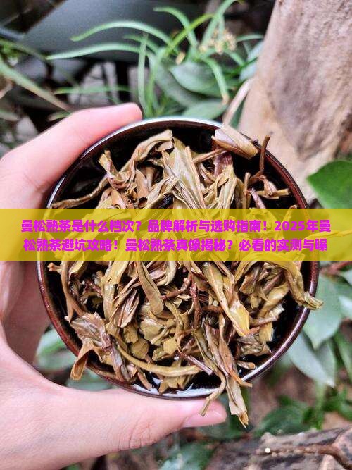 曼松熟茶是什么档次品牌