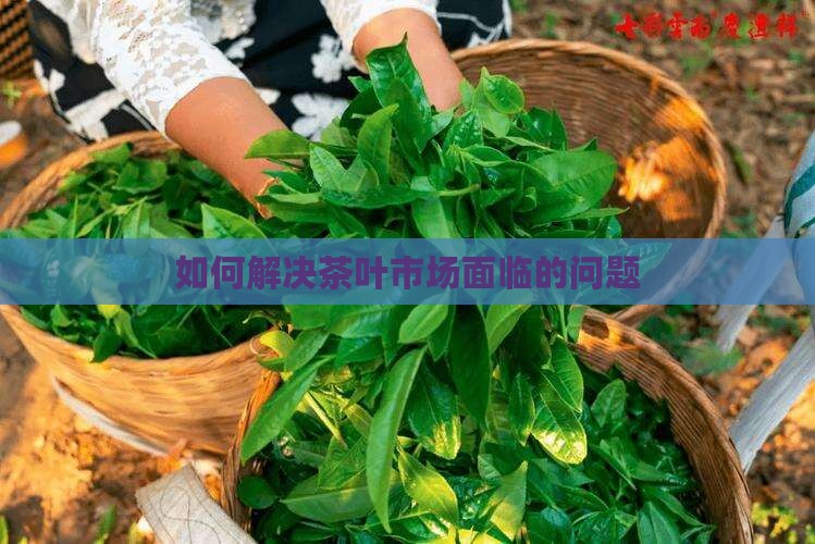 如何解决茶叶市场面临的问题