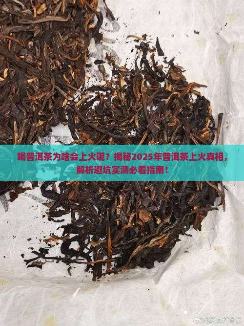 喝普洱茶为啥会上火呢怎么办