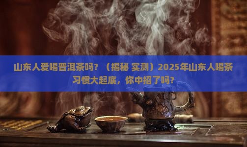 山东人爱喝普洱茶吗