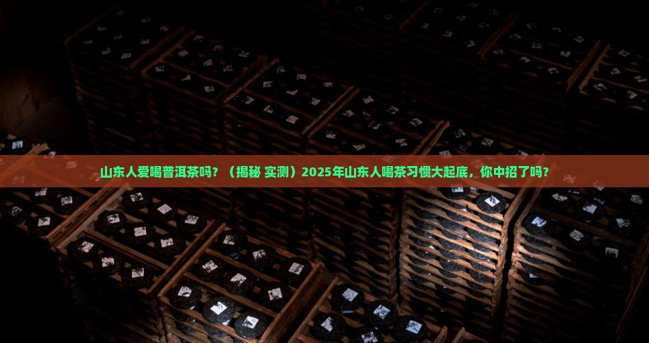 山东人爱喝普洱茶吗