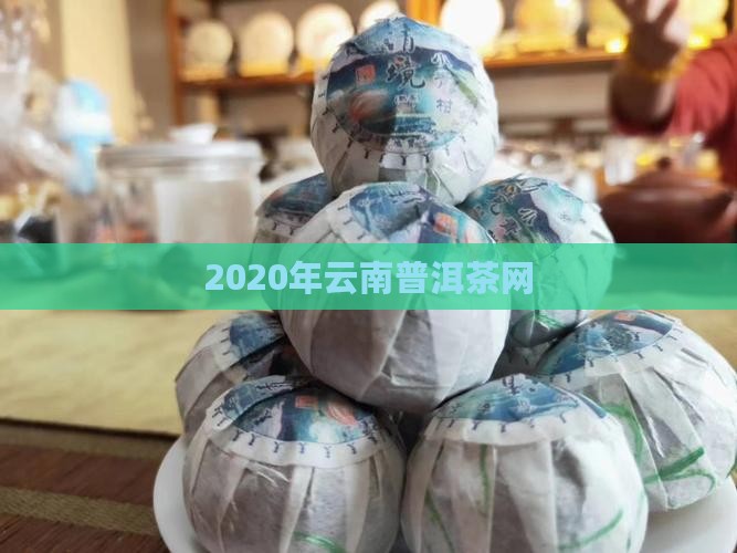 2020年云南普洱茶网