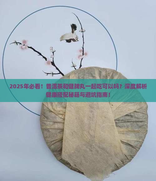 普洱茶和健脾丸一起吃可以吗