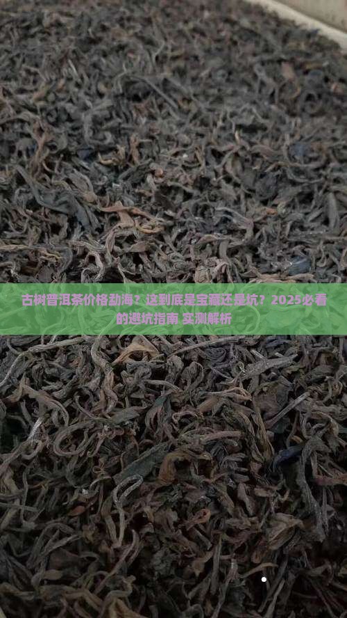 古树普洱茶价格勐海