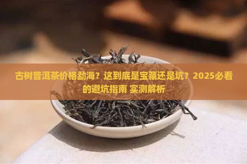 古树普洱茶价格勐海