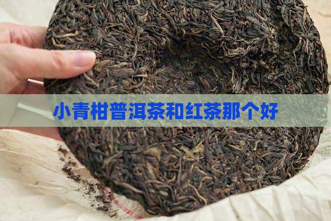 小青柑普洱茶和红茶那个好