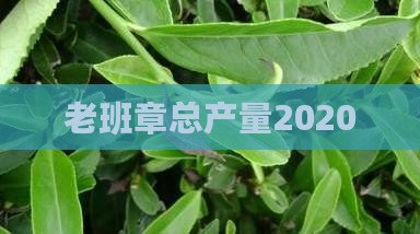 老班章总产量2020