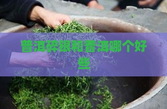 普洱碎银和普洱哪个好些