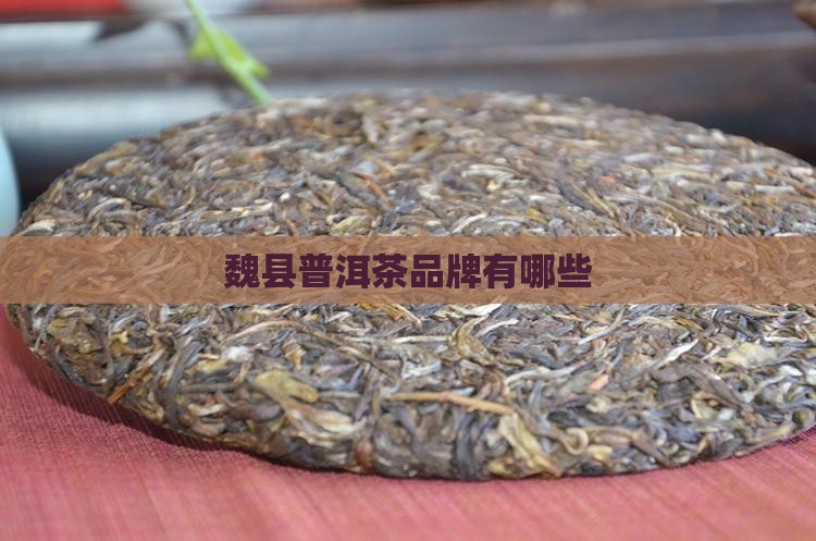 魏县普洱茶品牌有哪些