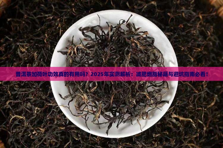 普洱茶加荷叶功效
